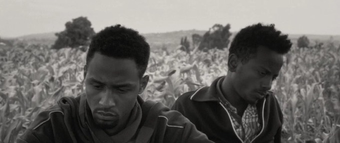 Life on the Horn (2020) + Faya Dayi (2021) + Intro - Whose Land? Whose Lens?