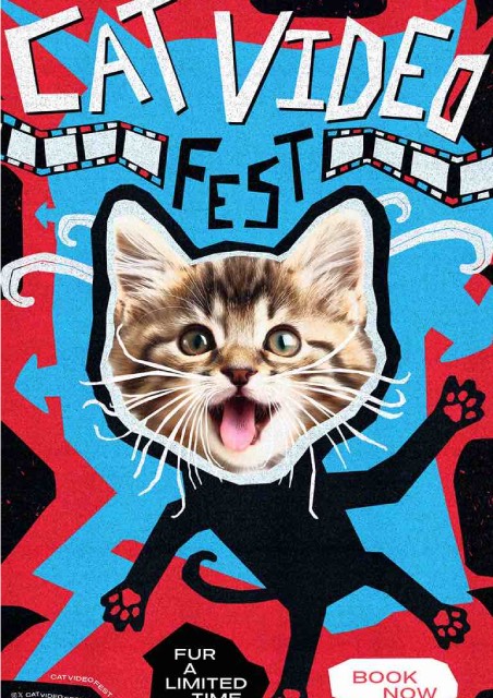Cat Video Fest 2025